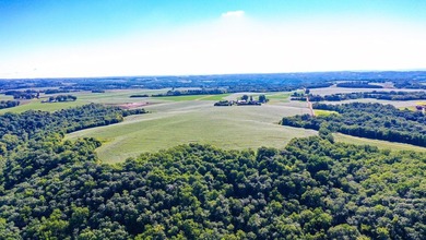 Exceptional ridgetop build site overlooking Lake Pepin! This - photo 22