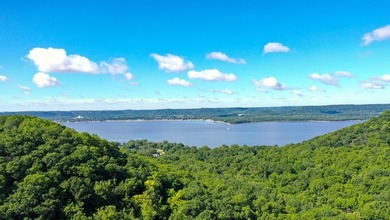 Exceptional ridgetop build site overlooking Lake Pepin! This - photo 24