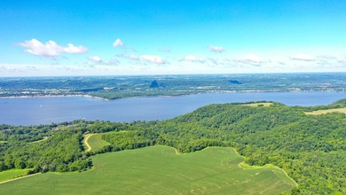 Exceptional ridgetop build site overlooking Lake Pepin! This - photo 26