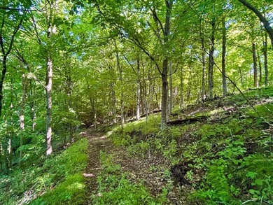 Exceptional ridgetop build site overlooking Lake Pepin! This - photo 27