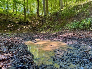 Exceptional ridgetop build site overlooking Lake Pepin! This - photo 28