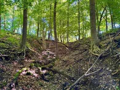 Exceptional ridgetop build site overlooking Lake Pepin! This - photo 30
