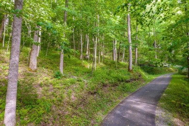 Lake Lot Off Market in Tuckasegee, North Carolina