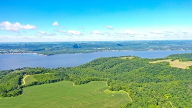 Exceptional ridgetop build site overlooking Lake Pepin! This - photo 31