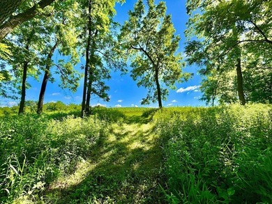 Exceptional ridgetop build site overlooking Lake Pepin! This - photo 33