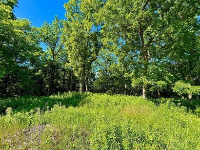 Exceptional ridgetop build site overlooking Lake Pepin! This - photo 36