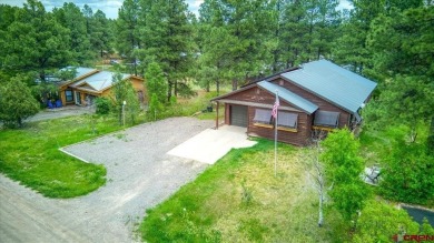 Lake Forest Home For Sale in Pagosa Springs Colorado