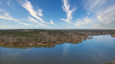 Smith Lake - Main ChannelOne of the last remaining large tracts - Lake Lot For Sale in Double Springs, Alabama