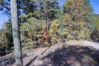 Lake Lot For Sale in Ranger, Georgia