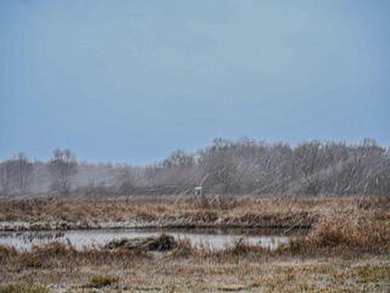 Rare 86-Acre Recreational and Investment Opportunity in Western - photo 22