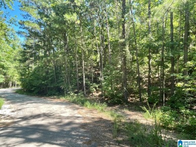Unrestricted acreage close to the lake. A potential home site - Lake Acreage For Sale in Wedowee, Alabama