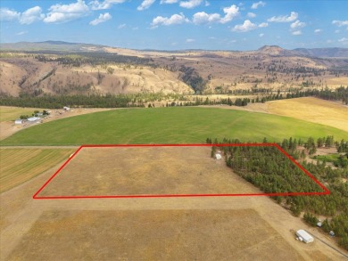 Lake Roosevelt Acreage For Sale in Davenport Washington