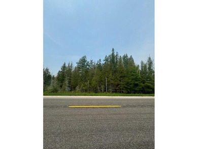 This 12 Acres parcel is a bird hunting paradise offering M-134 - photo 5