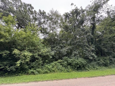Lost Lake Lot For Sale in Dixon Illinois