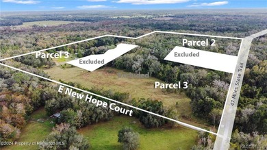 The ABSOLUTE MOST UNIQUE AND INCREDIBLE property on the north - photo 13