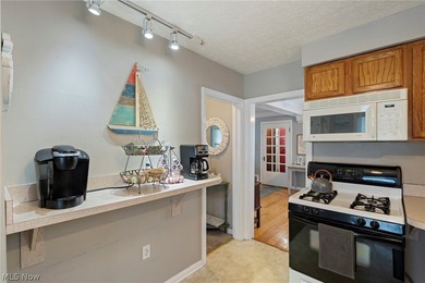 Welcome to this charming Cape Cod with Lake Erie access - photo 17