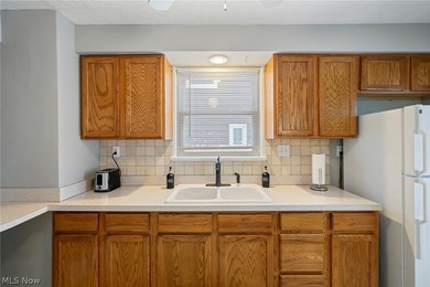 Welcome to this charming Cape Cod with Lake Erie access - photo 19