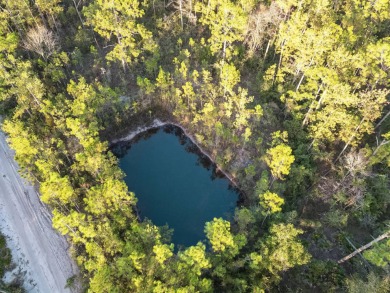 (private lake, pond, creek) Acreage For Sale in Fountain Florida