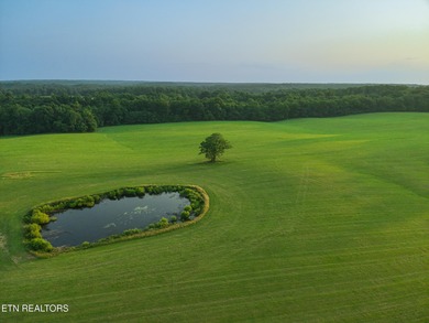 Welcome to Mayland Farm, an extraordinary opportunity to own one - photo 27
