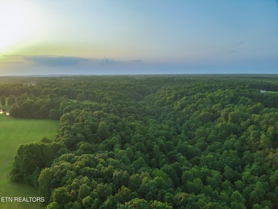 Welcome to Mayland Farm, an extraordinary opportunity to own one - photo 28