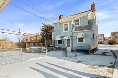 Welcome to this charming Cape Cod with Lake Erie access - photo 38