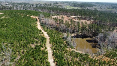 +/- 124 acres in the Shivers community in southwest Simpson - photo 1