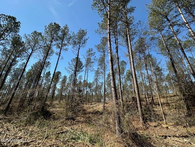 +/- 124 acres in the Shivers community in southwest Simpson - photo 6