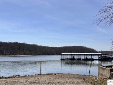 Fully Remodeled Home on 4 lots in a quiet lake development in - photo 46