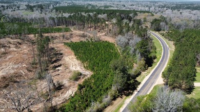 +/- 124 acres in the Shivers community in southwest Simpson - photo 8
