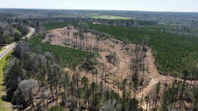 +/- 124 acres in the Shivers community in southwest Simpson - photo 9