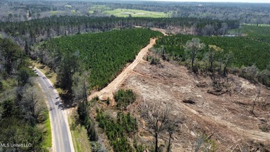 +/- 124 acres in the Shivers community in southwest Simpson - photo 10