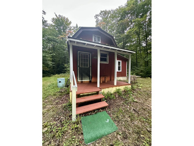 (private lake, pond, creek) Home For Sale in Newberry Michigan