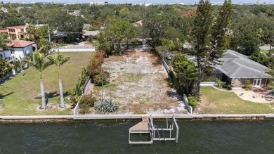 Rare Open Bay Opportunity on Davis Islands! Build your dream - photo 22