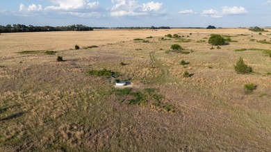 This 470+/- acre Rice County, Kansas property just 1 mile from - photo 22
