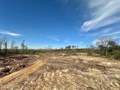 +/- 99 acres in the Shivers community in southwest Simpson - photo 4