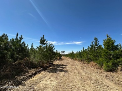 +/- 99 acres in the Shivers community in southwest Simpson - photo 7