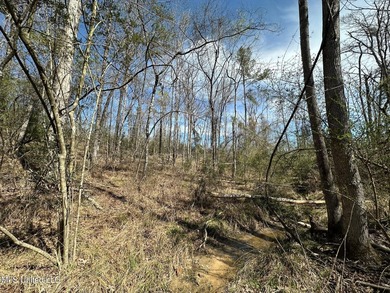 +/- 99 acres in the Shivers community in southwest Simpson - photo 8