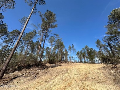 +/- 99 acres in the Shivers community in southwest Simpson - photo 10