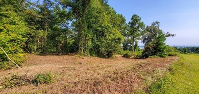 Lake Life offering city convenience! Seminole Ridge is located - photo 3