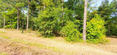 Lake Life offering city convenience! Seminole Ridge is located - photo 4