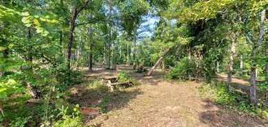 Lake Life offering city convenience! Seminole Ridge is located - photo 5