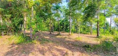 Lake Life offering city convenience! Seminole Ridge is located - photo 6