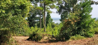 Lake Life offering city convenience! Seminole Ridge is located - photo 7