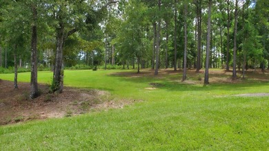 Lake Life offering city convenience! Seminole Ridge is located - photo 10