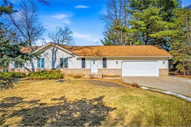 Martin Lake Home For Sale in Linwood Twp Minnesota