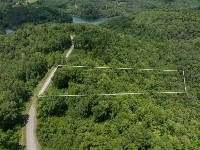 Norris Lake Acreage For Sale in Speedwell Tennessee