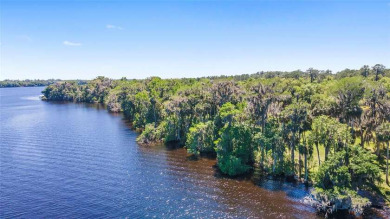 St. Johns River - Putnam County Lot For Sale in Palatka Florida
