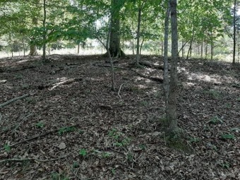 Norris Lake Acreage For Sale in La Follette Tennessee