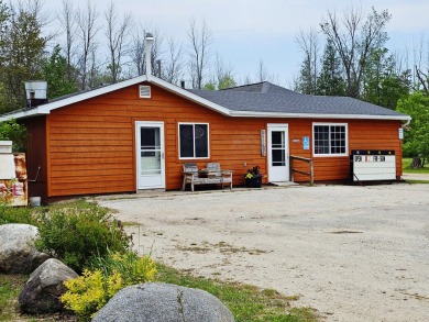 Lake Home For Sale in Curtis, Michigan