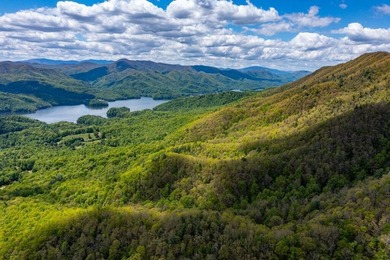 Incredible view of Watauga Lake! Mountains and Lake views are - photo 15